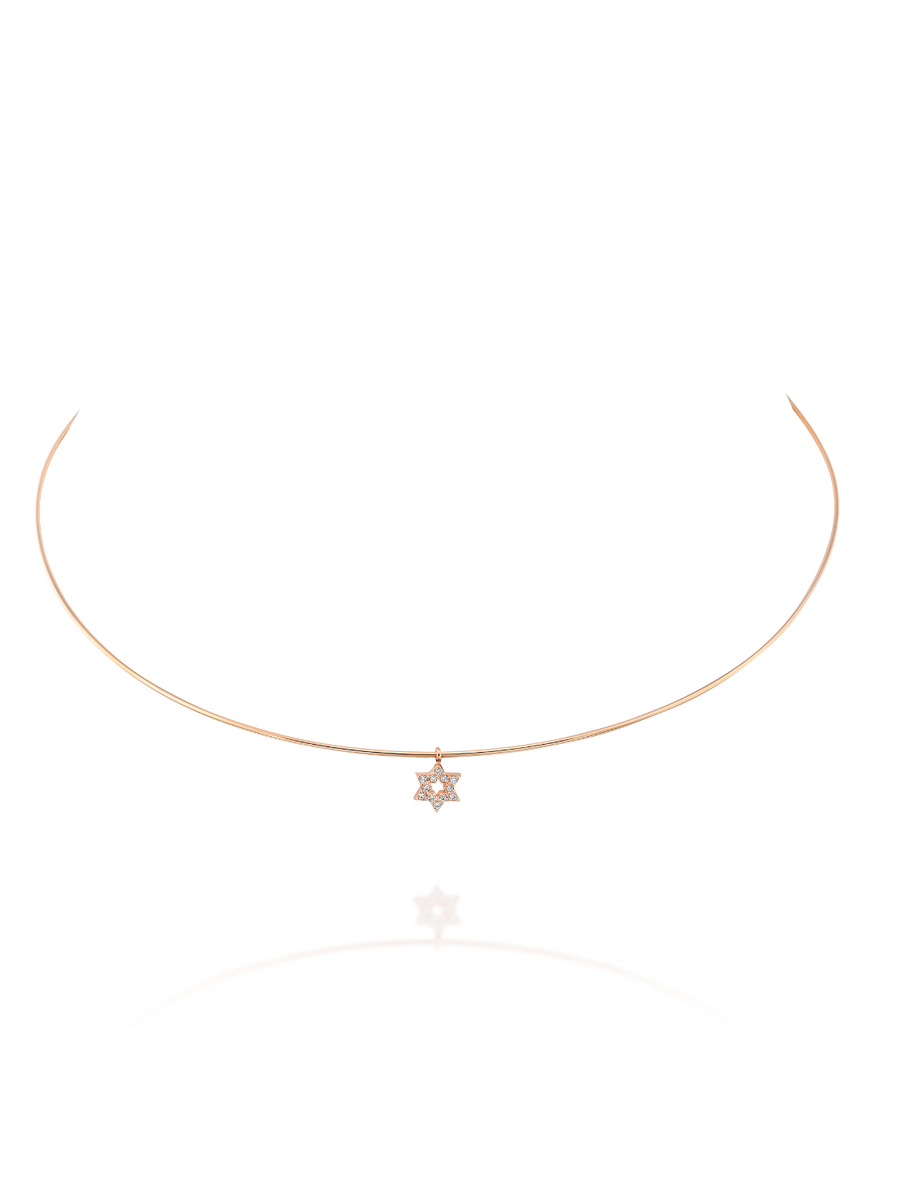 Round Star of David necklace