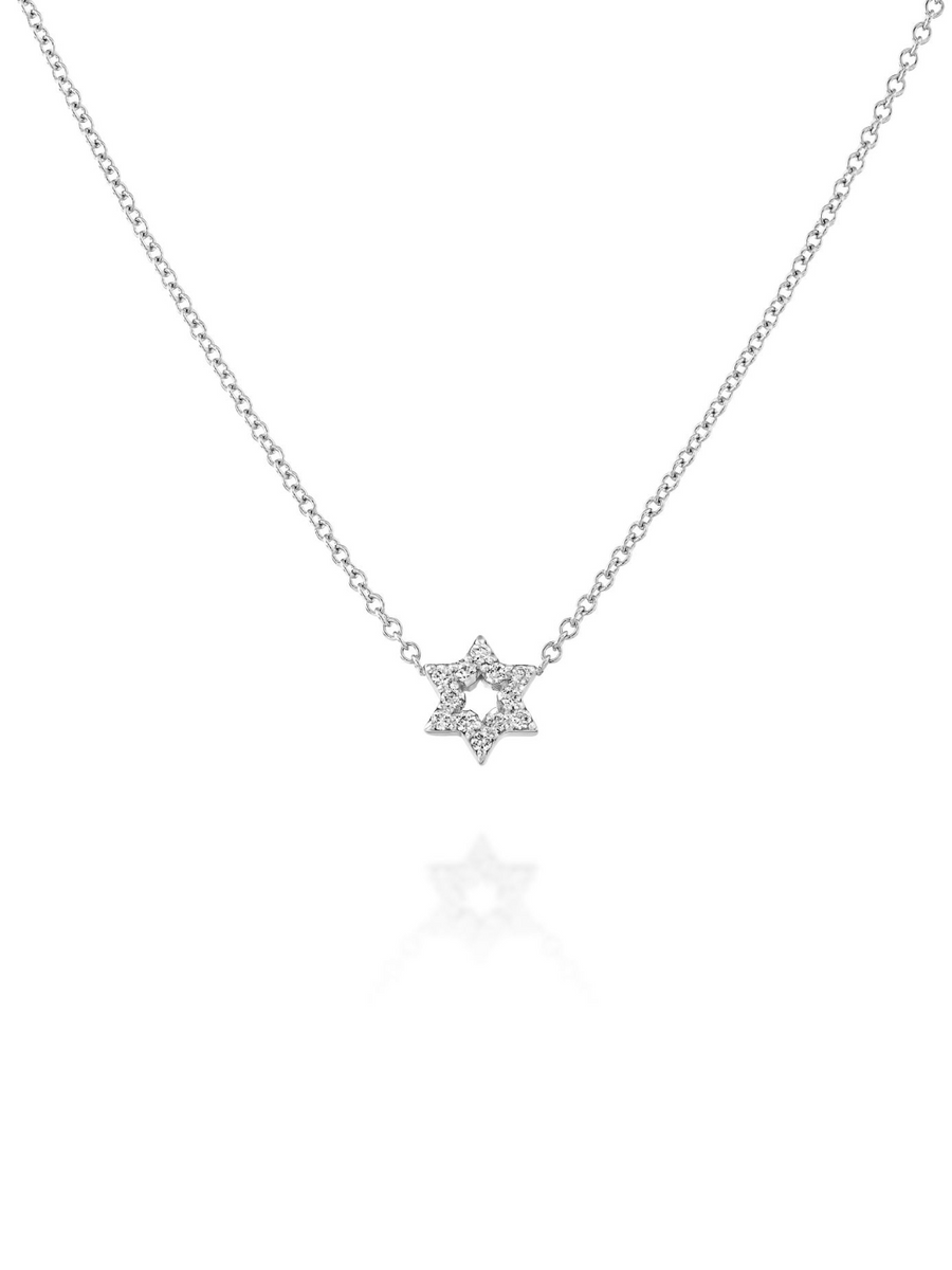 Star of David Necklace